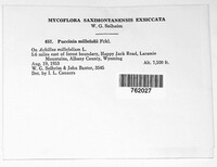 Image Associated With the Occurence